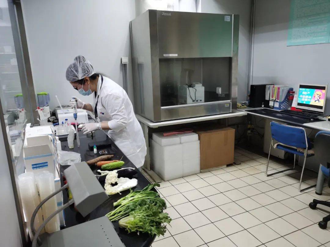 林甸食品检测实验室装修方案